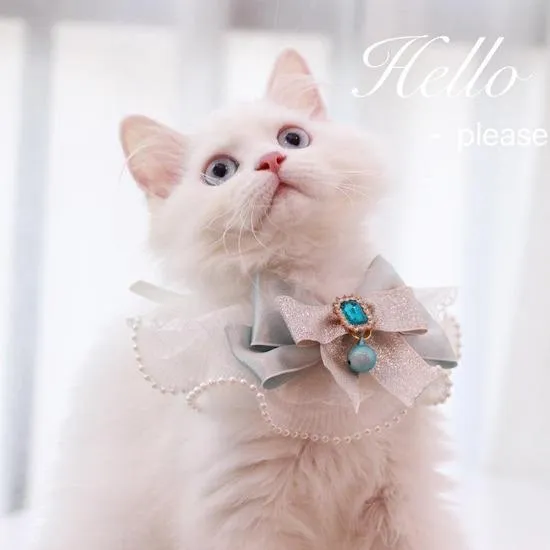 Elegant Collar Bow