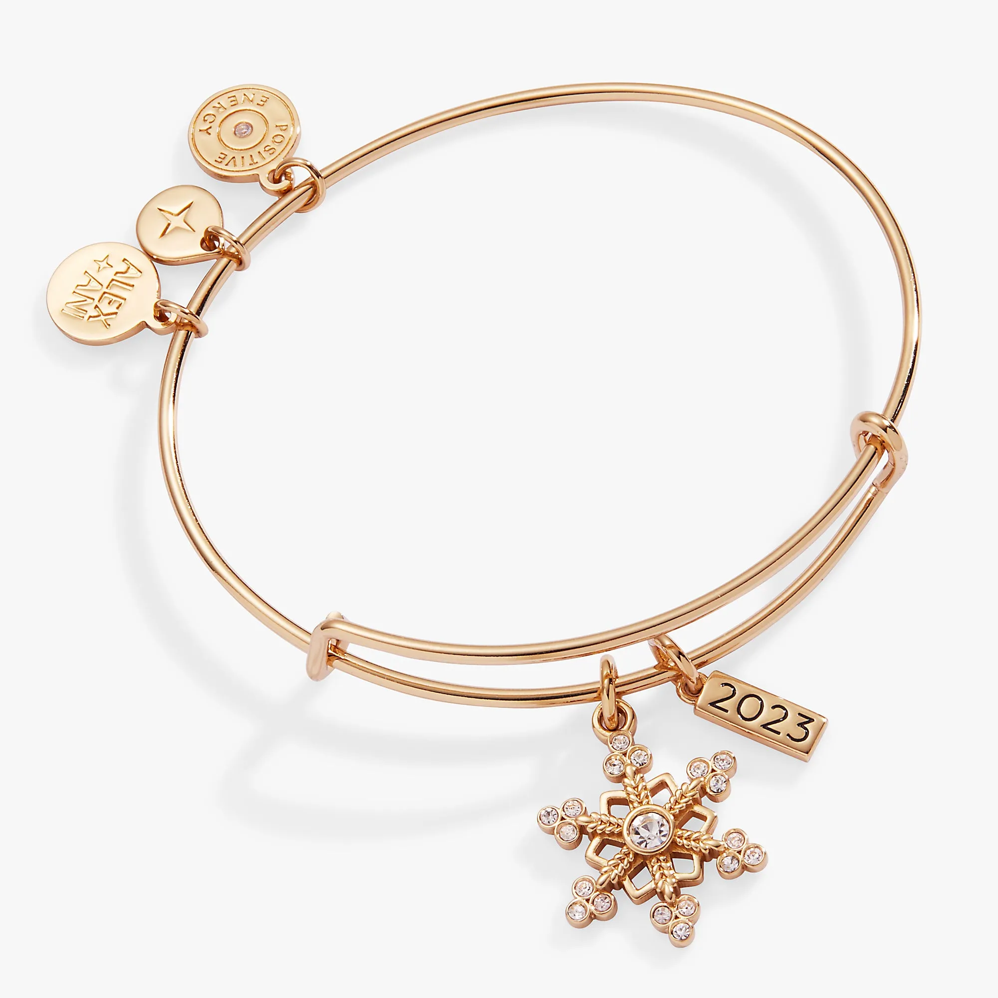 Limited Edition 2023 Snowflake Charm Bangle