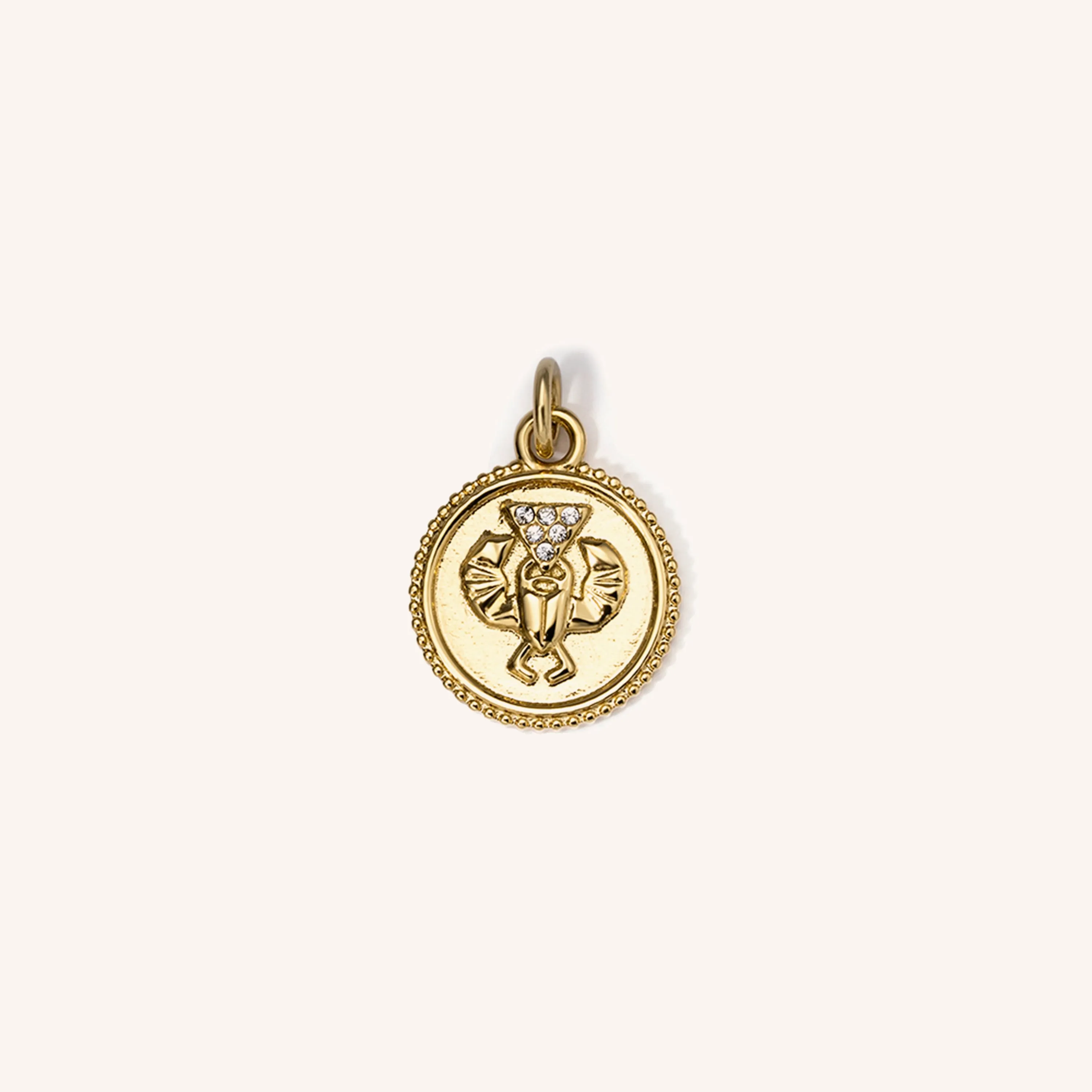 Scarab Coin Pendant