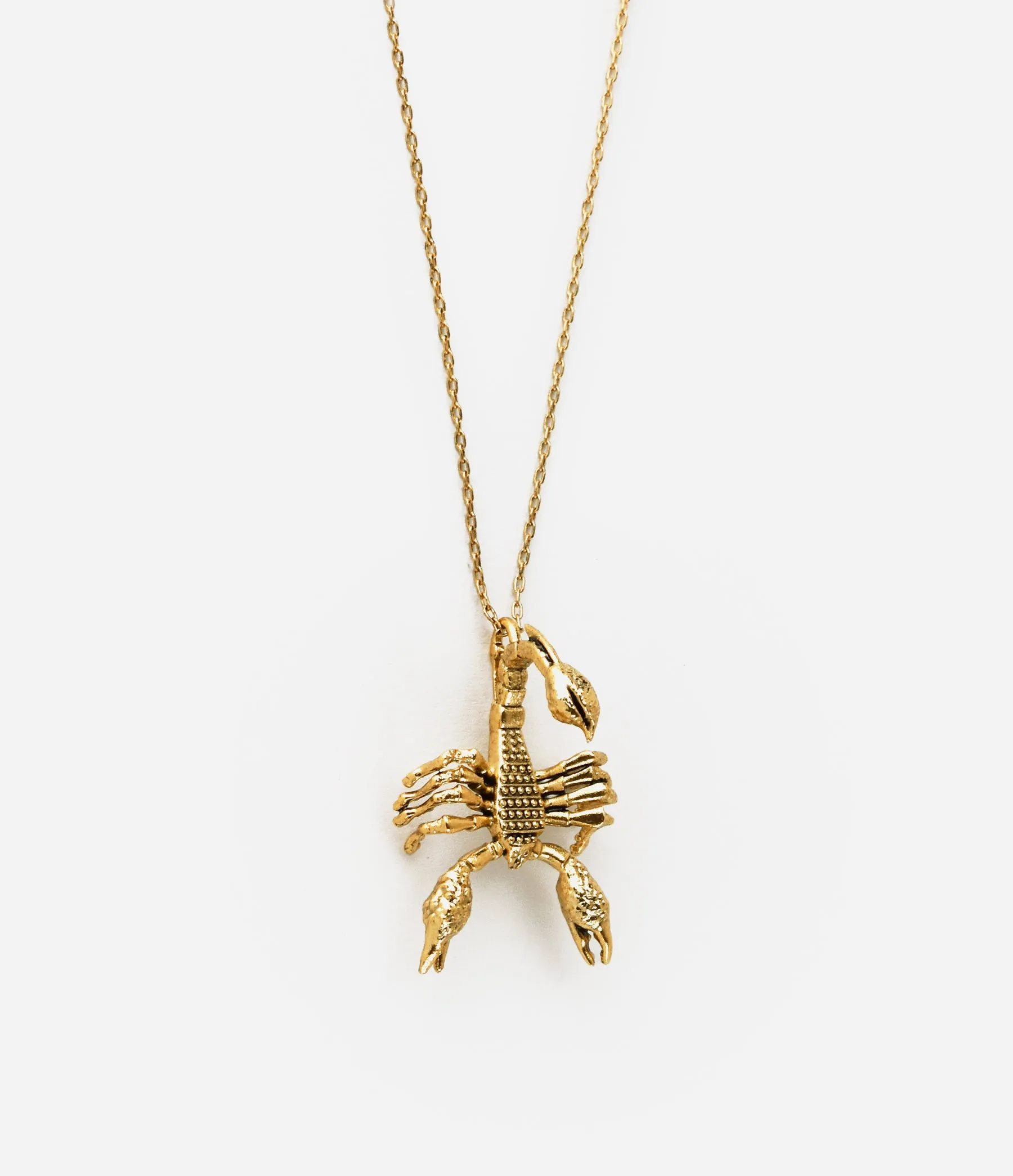 Scorpion Necklace