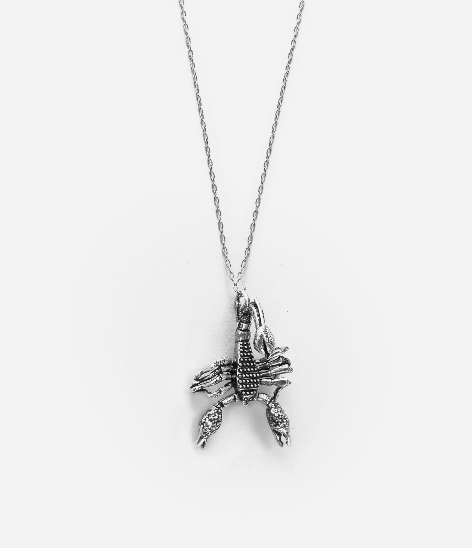 Scorpion Necklace