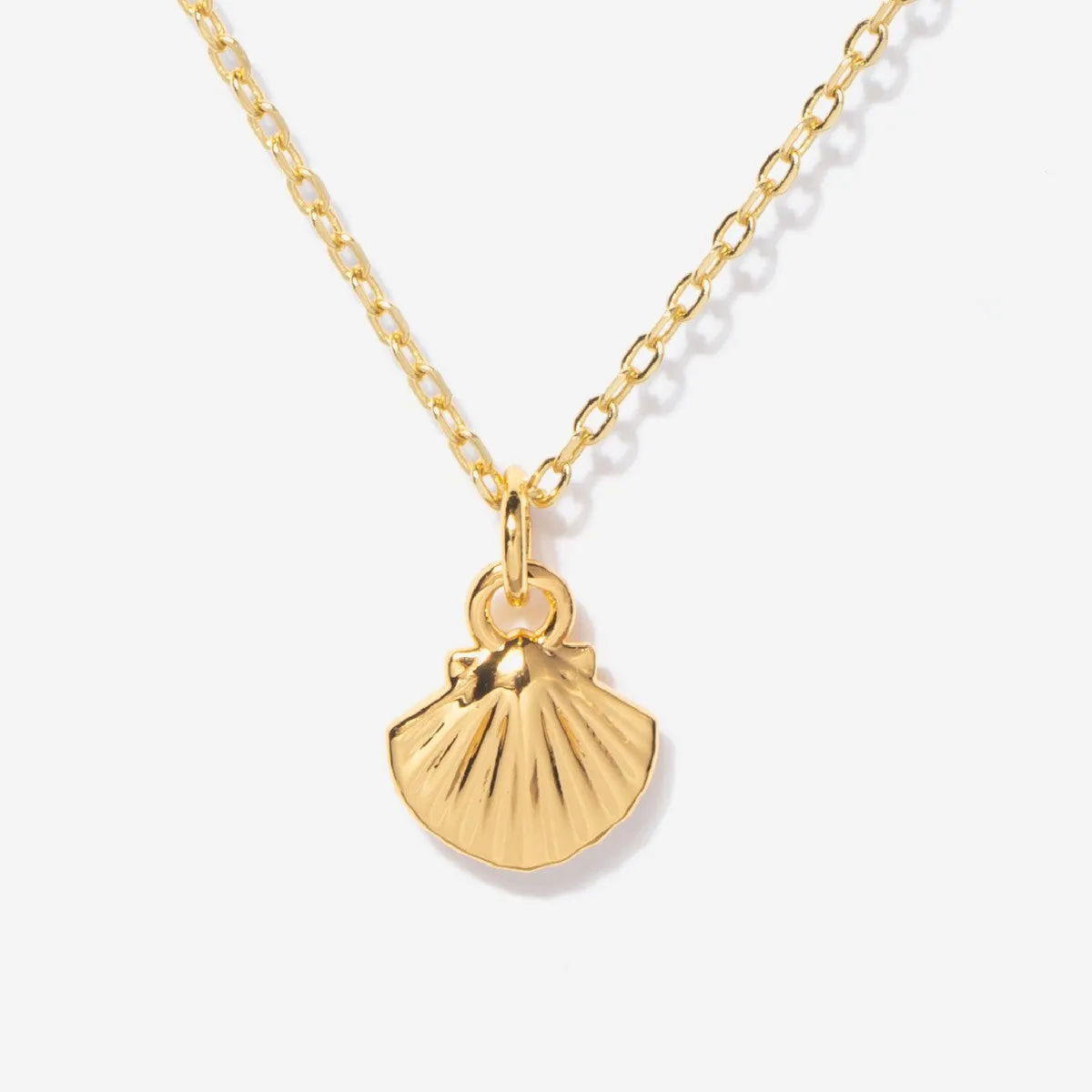 Shell Necklace